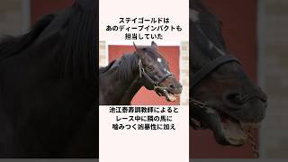 「競馬界の大魔神」ステイゴールドについての雑学