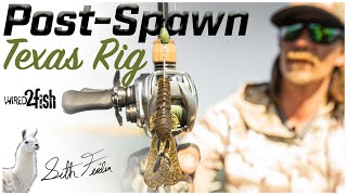 Texas Rig Fishing Post-Spawn Bass with Seth Feider