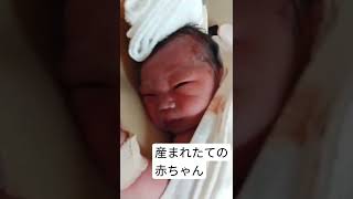 産まれたての赤ちゃん #新生児 #カンガルーケア