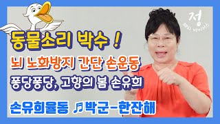 뇌 인지 박수, 동물 소리 박수, 간단 손 운동, 퐁당 퐁당 손 유희, 고향의 봄 손 유희, 손 유희 율동 한잔해