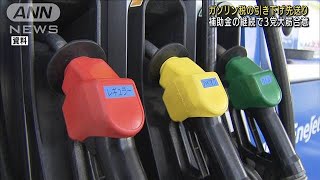 ガソリン税の引き下げ先送りへ　原油高対策で自・公・国が大筋合意(2022年4月19日)