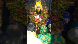 Today Vitthal darshan 1/2/2025 #today #darshan #music #shorts #viralvideo