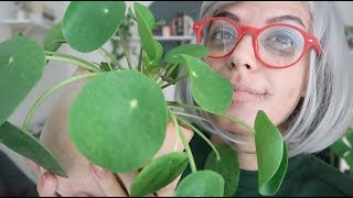 ASMR | Nonna Ti Mostra Le Sue Piante! 🌿 [ft. Flob] [Italian]