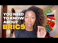 You NEED to KNOW about BRICS *2023 Beginners Guide*