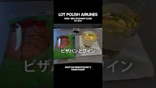 【搭乗記】LOTポーランド航空｜ワルシャワ - ブリュッセル｜エコノミークラス #shorts