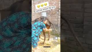 আরে এসব কি  #viralvideo #funny #plzviralvideo #comedy #sotonentertainment #fun