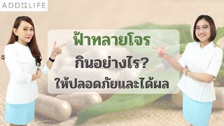 กินฟ้าทะลายโจรช่วยป้องกันโควิด | COVID-19