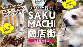 【犬とおでかけ】チワワとぶらぶら散策\u0026居酒屋 テラスわんこOK (愛知県名古屋市北区)