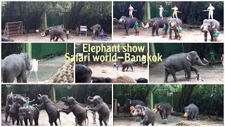 Thailand trip part4 I Elephant show Safari world/ ആന വരച്ച ചിത്രം I drawn by elephant