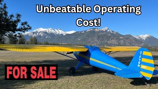 The MOST FUN you can have in an airplane for under $40/hr! (Luscombe For Sale)