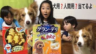 犬用おっとっと❓人間用おっとっと❓目隠しして食べて人間用を当てるよ🤗✨さて当たるかな❓ドラえもんのおっとっともあったよ✨