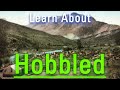 How to Say Hobbled in English? | What is Hobbled? | How Does Hobbled Look?