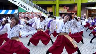 東京理科大学yosakoi部　ドリーム夜さ来い2012