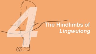 Chuanchuan the Lingwulong 4: The Hindlimb | Learn to Draw Dinosaurs with ZHAO Chuang