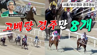 [일요경마 결과] 정신없이 터진 일요경마 (2023년 2월19일 전 경주 모음)