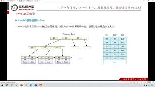 146 MySQL的索引 内部原理 相关算法 BTREE树 索引应用