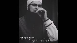 Junaid Jamshed Naat |Muhammad Ka Roza|Whatsapp Status