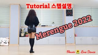 🍀Tutorial 스텝설명🍀  Merengue 2022/Beginner #플라워라인댄스와 함께 #메렝게 #기본스텝 즐기세요 #상주라인댄스 #안미경라인댄스