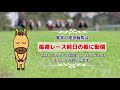 マーメイドステークス2024の推奨軸馬【最終結論】