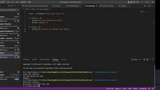 Python programing a User Input with an IF Statement | Beginners Level Programming
