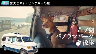 愛犬とキャンピングカーの旅/芦ノ湖パノラマパーク散歩