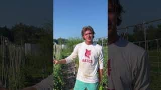 Introducing Erik: 2025 summer intern