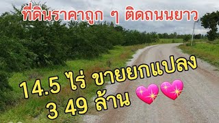 ขายที่ดินติดถนนยาวมาก 💖💖 14.5 ไร่ ยกแปลง 3.49 ล้าน 0983875209 สุพรรณ