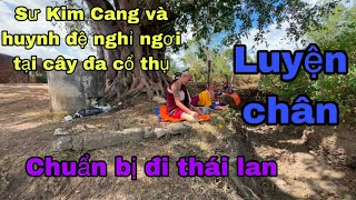 Các Sư Nhỏ Nghỉ Trưa Tại Cây Cổ Thụ.Mong Muốn Được Bộ Hành Cùng Sư Phụ