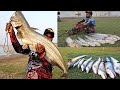 MOSTAR KING SIZE BIG WALLAGO ATTU CATFISH HUNTING  | Big Fish pathan Fishing