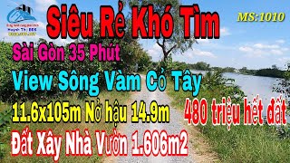 Nhà vườn Long An | Đất view Sông Vàm Cỏ Tây |Đất xây nhà vườn ven sông siêu rẻ chỉ 480 triệu(Đã bán)