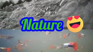 நான் தான் இயற்கை | I am Nature | Munnar, Mullai Periyar Theni | VJ ViRa