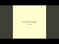 Echo River Fragile