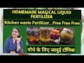 मधुकामिनी के पौधे पर आएंगे भर भर के फूल madhu kamini plant care fertilizer watering with update