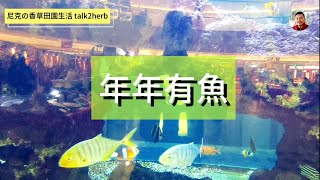 2022 新完工｜超大水族缸｜大葉高島屋｜兒時記憶｜中央水族廣場