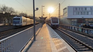 [4K] Regionalbahnhof Düsseldorf-Bilk 2022