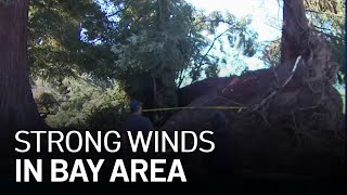 Strong Winds Sweep Through the Bay Area