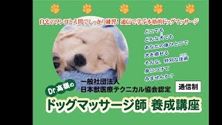 Dr.高嶺のドッグマッサージ師養成講座　紹介動画