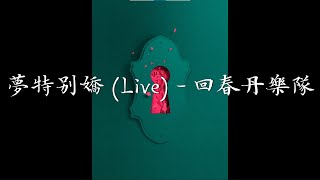 【乐队的夏天3】纯享版! 迪斯科舞厅一起摇摆~回春丹复古演绎《梦特别娇》