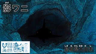 「影ワニ（かげわに）」島根県大田市｜海ノ民話アニメーション