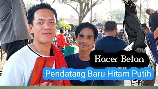 KACER PENDATANG BARU