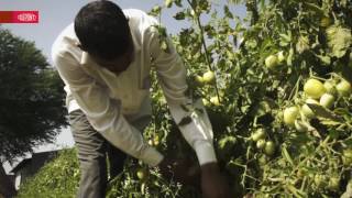 DuPont Benevia - Stories of Change (Nashik)