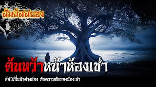 EP.809 | ต้นหว้าหน้าห้องเช่า | ต้นไม้ที่หน้าต่างห้อง กับความลับของห้องเช่า | เรื่องผี | สัมผัสสยอง