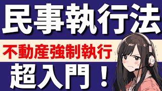 【民事訴訟法】民事執行法の不動産執行が心底理解できる動画　差押の登記　仮差押え　仮処分　執行裁判所　執行官　判決書の正本の送達　債務名義　執行文の付与　請求異議の訴え　執行抗告　執行異議