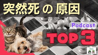 【驚愕】犬猫の突然死の原因トップ３