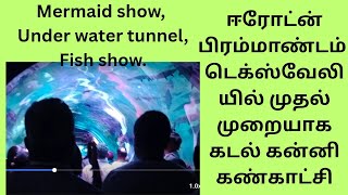 First time Kadal Kanni Show in Erode🧜‍|நம்ம ஈரோட்டில் கடல் கன்னியா#kadalkanni #mermaid #mermaidshow