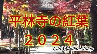 平林寺の紅葉2024