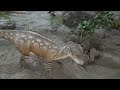 dinosaur fossil park u0026 museum balasinor raiyoli museum ksnride dinosaur museum part 1. ksnride