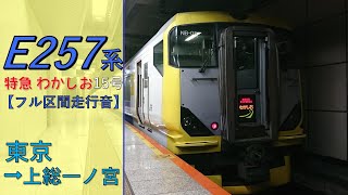 【鉄道走行音】E257系NB-05編成 東京→上総一ノ宮 特急 わかしお15号 上総一ノ宮行