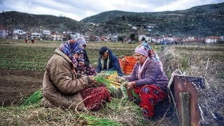 balllıpinar video ve fotoğrafları