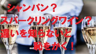 シャンパンとスパークリングワインの違いって何？知らないと恥をかく大人の常識！【飲まずに学ぶワイン座学】